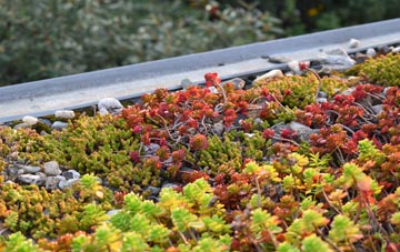 the cost of Fitton Hill green roof installation